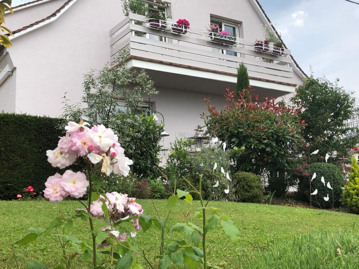 Gite Riquewihr "C'Est Beau La Vie Alsace" מראה חיצוני תמונה
