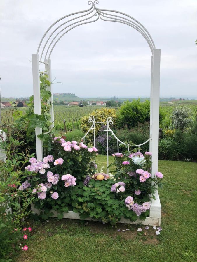 Gite Riquewihr "C'Est Beau La Vie Alsace" מראה חיצוני תמונה